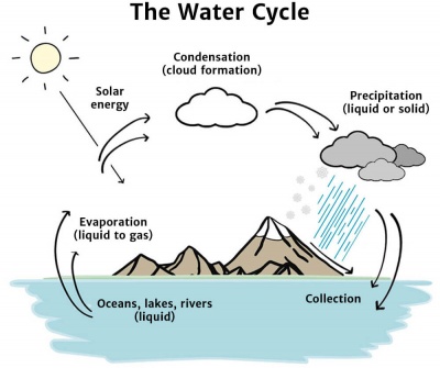 Water Cycle - Knowledge Bank - Zero Positive