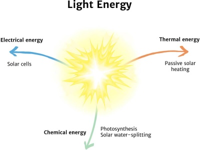 Light Diagram